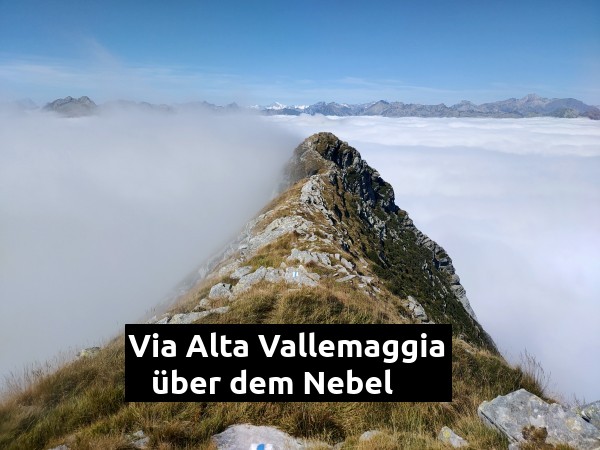 vavm im Nebel vavm im Nebel